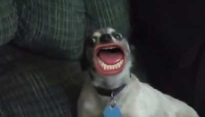 Anyone remember this?