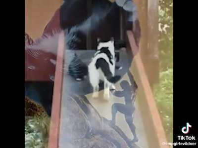 One can only imagine sysiphus happy