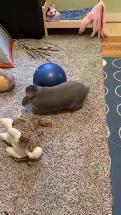 Gary: “A” for effort and a skillful cover-up