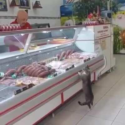 Butcher welcoming his feline customer