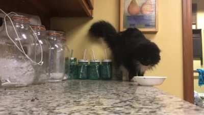 Just a bit more...a bit more...a bit more...