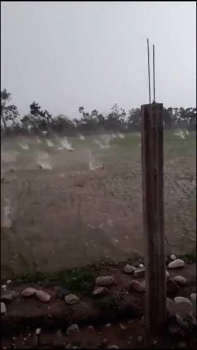 This yard was turned into a war zone due to a massive hail storm