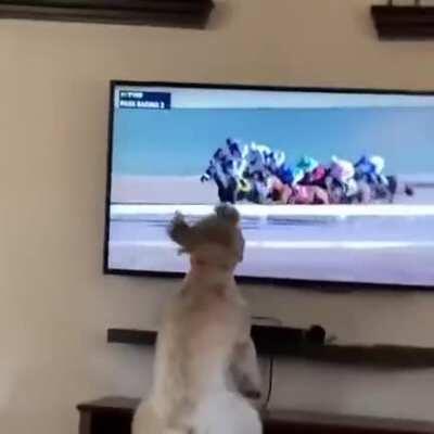 Take me in! Take me in!!