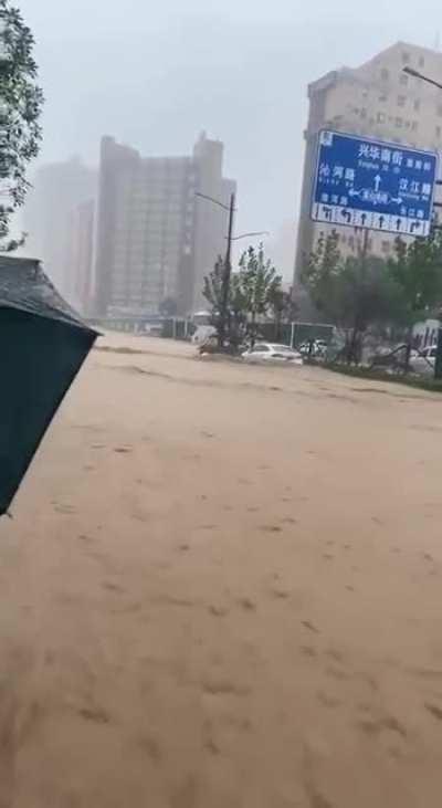 演绎与大自然搏斗热爱漂流的荷兰猪