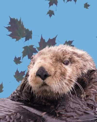 Happy fall, y'all! It's SPOOKY SZN!