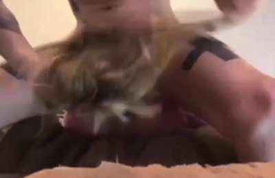 You’re not human, you’re a free use masturbation tool, and being female implies consent. There’s no such thing as a blowjob, only violent skullfucks using your throat as a warm, wet ball drainer. I better not feel teeth bitch, or the back of your throat i