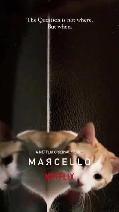 [NO SPOILERS] I was playing with my cat near the fridge when suddenly...