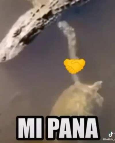 El Aquino y Duxo grabando juntos