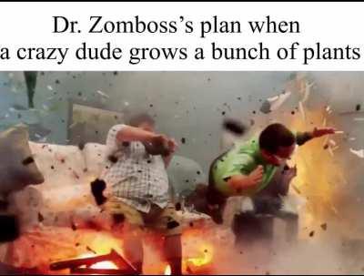 Applies to pvz1 too