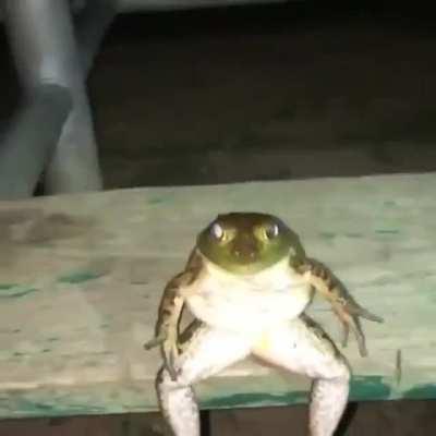 shawty like a melody