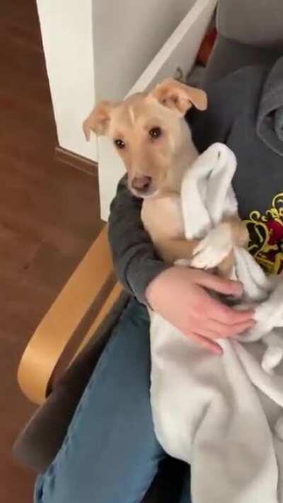 Omg this is so cute!