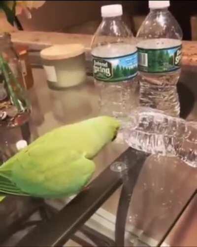 He feels very accomplished