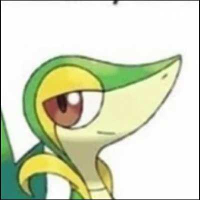 snake? snake! snakeeeee!!!