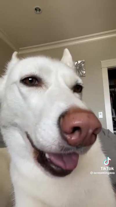 Thanks for your input, Ava. We&acirc;ll circle back to it later.