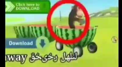 Oompa Funny Monkey Moment