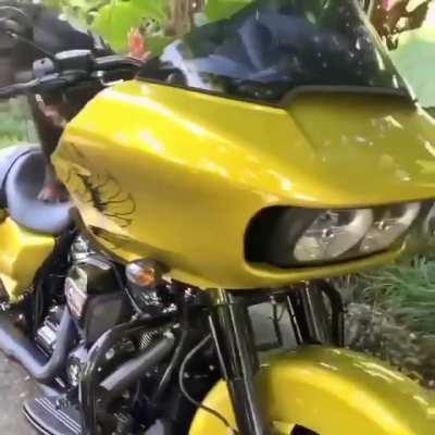 Nose si ya subieron esto xd