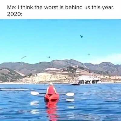 Here is my gift to this sub, big boy