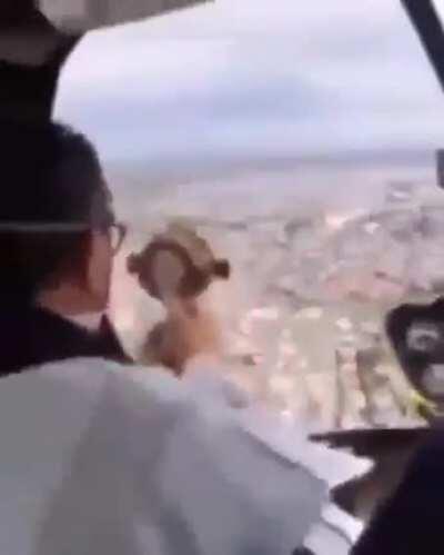 Nooo para Francisco no lo hagas