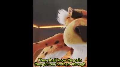 MESSAGE TO ALL BROTHERS