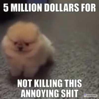 5 milin doler for not umm uhmm umm umm uhmmm umm