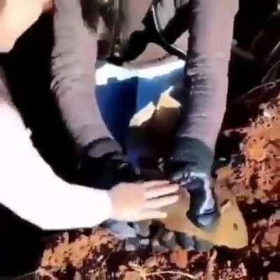 Did not see that coming