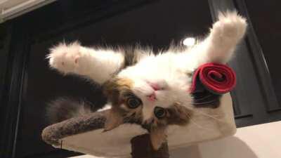 Zuko just wanted to see the world the other way round