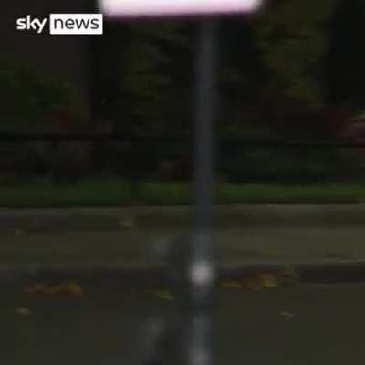 A fox tried to enter Downing Street, Larry the Downing Street cat was having none of it.