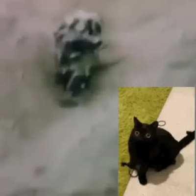 Your video is: damn unfunny