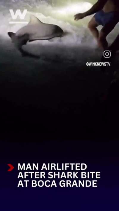 Baby shark doo do do do