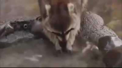 Че за на.... еп... колдунство !!!!