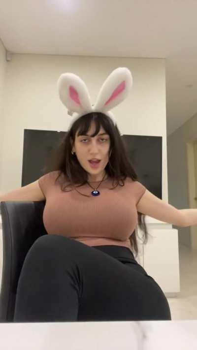Bunny