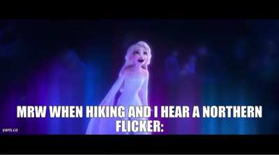 Stop hiding in the foliage!