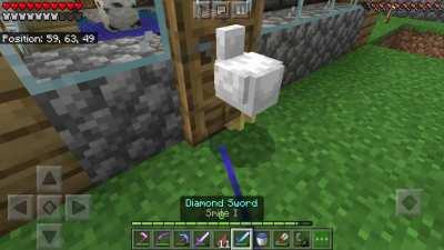 The have found an immortal god chicken I need advice do I make a shrine or wait for it to reload