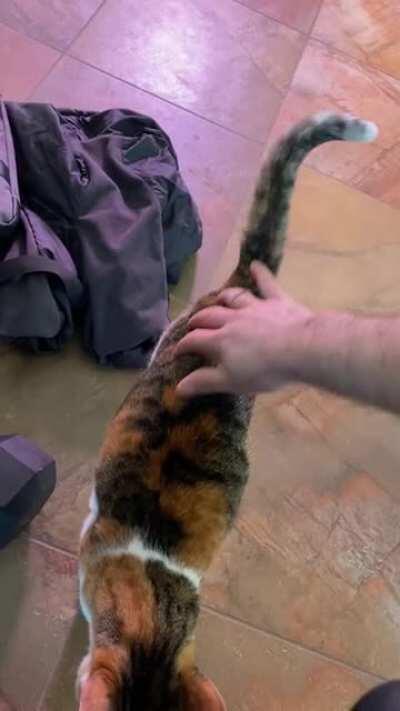 So much love (and leaves) to give.