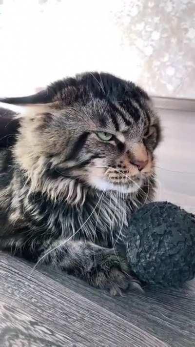 “This house ain’t big enough for the both of us.”