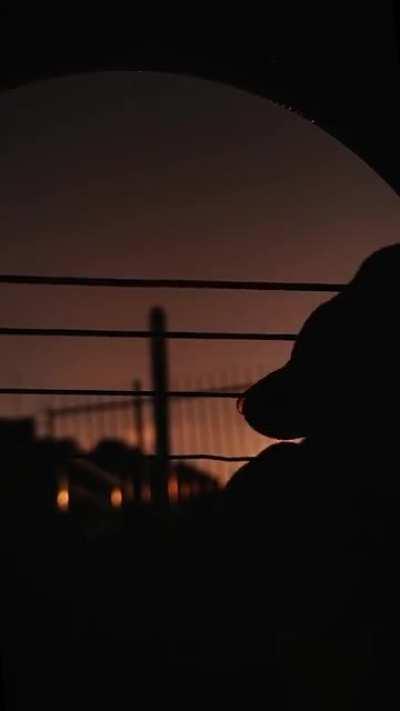 Tried to cover Kimi no na wa's Sparkle. Hope you guys enjoyed it!😃