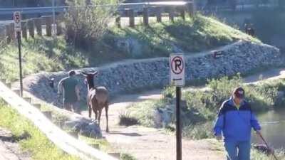 Or REALLY likes joggers!