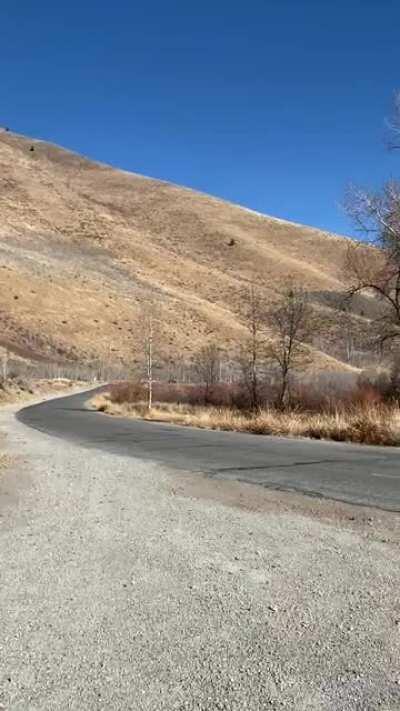 So I did a muffler delete on my E60 M5 and it sounds amazing...