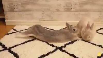 The tactic is as follows: comes close little by little, like someone who wants nothing, if it doesn't work out, you try another again..