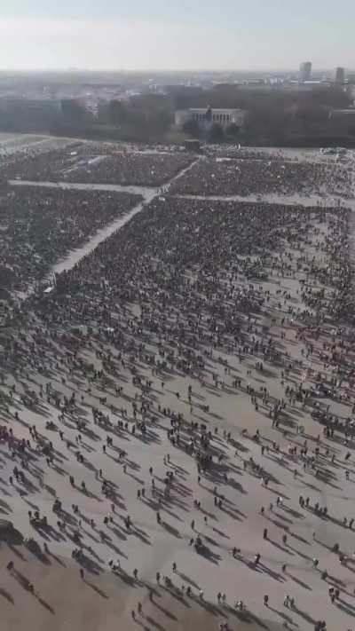 Germany citizens protest against Nazis and the AfD ahead of election (🎥Kilian Boedrich)