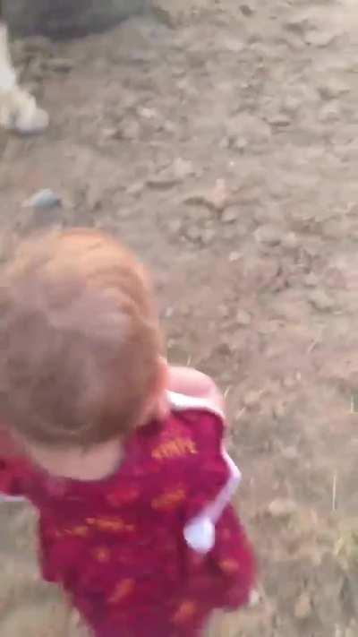 The most wholesome video you'll ever see.