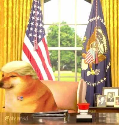 Goodbye, wait no no no