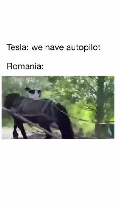 Romania , you make us all proud.