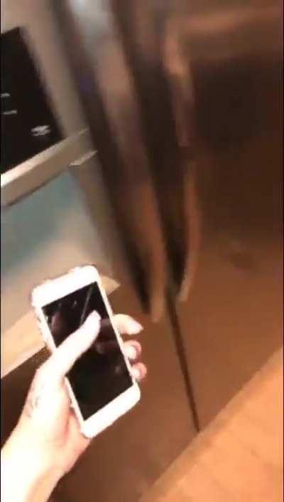 Melody and Friend are the biggest THOTS