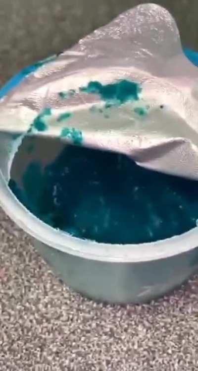 My school lunch today had maggots in the applesauce