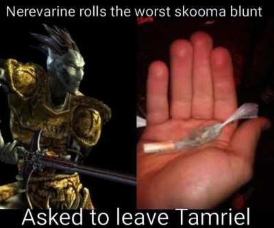 What are you doing Nerevarine