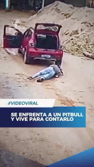 Man Protects Himself From A Pitbull Attack - Mexico