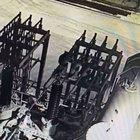 This cat ran out of lives