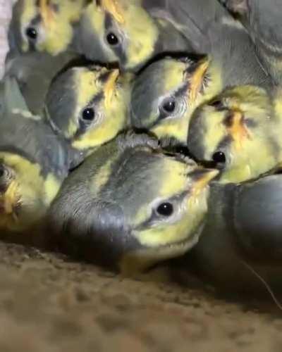 Who would have thought?