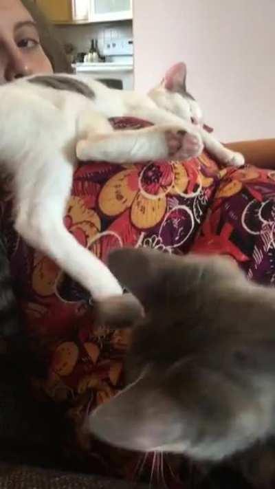 Um, her foot is not a gas pedal...